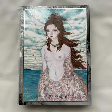 아마노 요시타카 비장 작품집