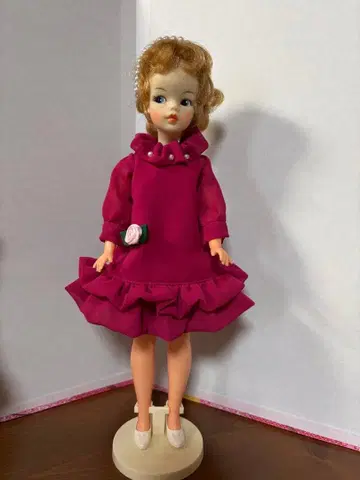 타미짱의 장미 드레스풍 원피스 세트