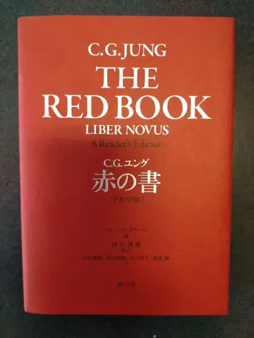C.G. 융 빨간색 책 [텍스트판]