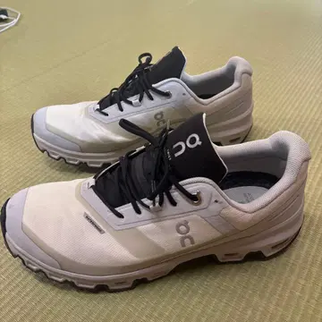 On cloudventure waterproof 26.5