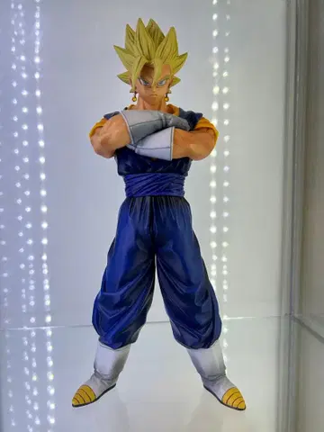 MSP 베지트 덤 포함