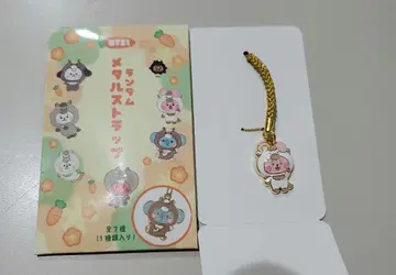 BT21 랜덤 메탈 스트랩 COOKY