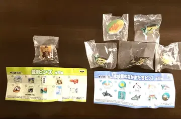 지역 한정 빈스 아이즈 핀즈 1개 수족관 친구들 핀즈 5개 컬렉션 세트