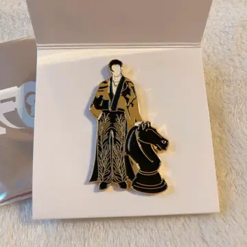 straykids 스키즈 FORCE 핀 배지 방찬