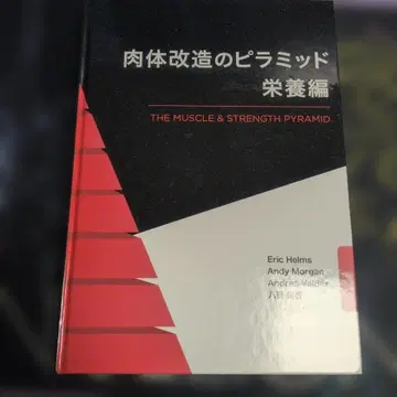 신체 개조의 피라미드 영양편