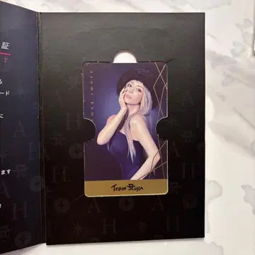 TA PASSPORT 하마사키 아유미 2025 최신 ver.