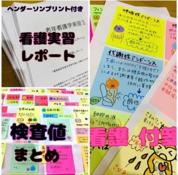 간호 메모지 노트 검사 수치 요약 실습 리포트 헨더슨