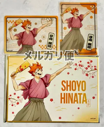 하이큐 신춘의 정점 히나타 쇼요