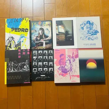PEDRO DVD 영상 작품
