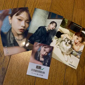 아이나 더 엔드 브로마이드 FC 한정판