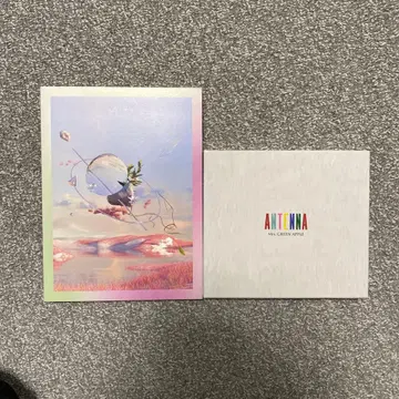 [ 최초 한정판 ] Unity ANTENNA 세트