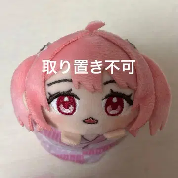 컬러풀피치 카라피치 모찌코로링 노아