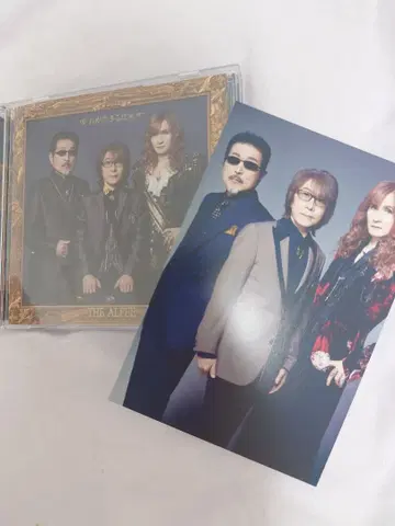 THE ALFEE 너가 사는 의미 초회 한정판 B 엽서 부착 추첨권 없음