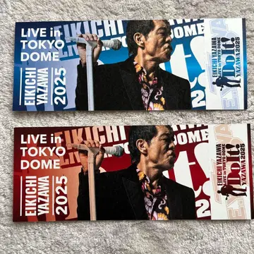 야자와 에이요시 도쿄돔 11월 8일 9일 메모리얼 티켓