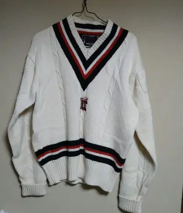 남성용 플랑드르 남성용 V넥 스웨터