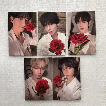 TXT TOMORROW 한국 사전녹화 트레이딩 카드 5장