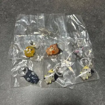 메지루시 액세서리 테니니 튀니니 고니니 운니니 리니니 ZB1