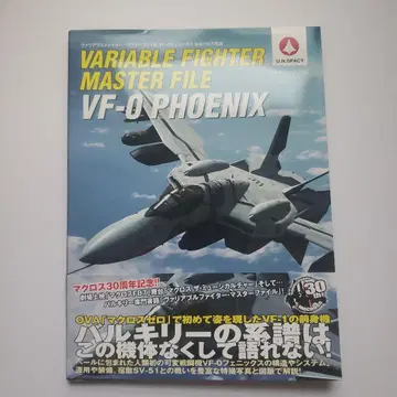 가변 파이터 마스터 파일