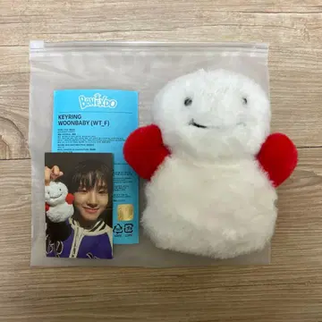 BOYNEXTDOOR WOONBABY 운아기 키링