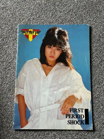 하마다 마리 Misty lady 콘서트 팜플렛