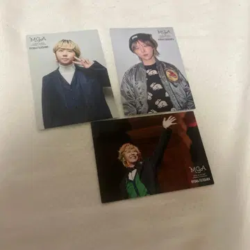 후지사와 료카 카드