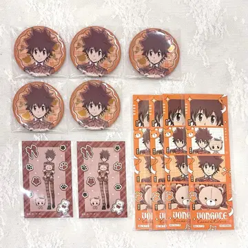 가정교사 히트맨 REBORN! 사와다 츠나요시 캔뱃지 메디코스