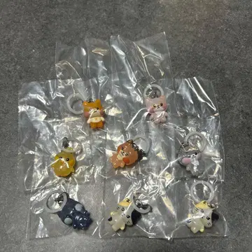 메지루시 액세서리 비니니 하니니 테니니 튜니니 고니니 운니니 리니니