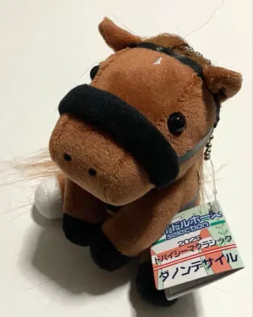 다논 데 사이루 아이돌 호스 S 사이즈 두바이 시마 클래식 2025 경마