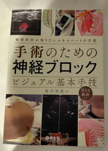 수술을 위한 신경 차단 비주얼 기본 술기