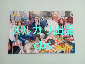 THEALFEE 트레이딩 카드