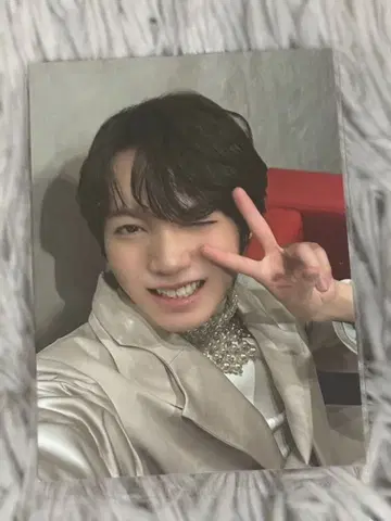 코이즈미 히카루 쟝켄 트레이딩 카드