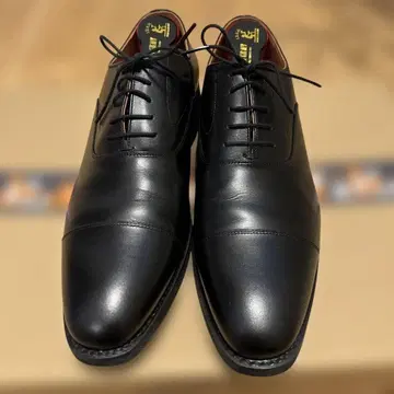 샤인 오어 레인 IV 26.0cm 와이즈 E