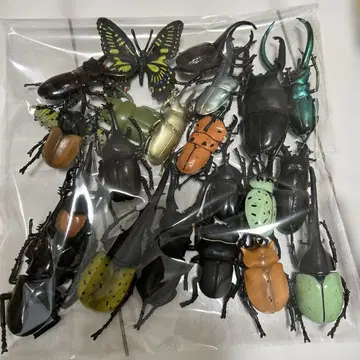 곤충 피규어 세트 20개 이상