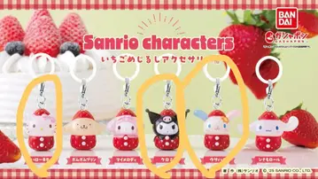 산리오 캐릭터 딸기 메지루시 액세서리 우사하나 쿠로미 헬로키티