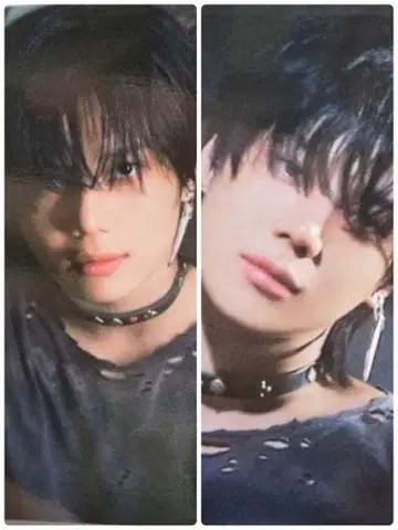 태민 트레이딩 카드 veil FC 회원 포토 카드 고베