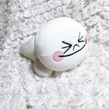 LINE FRIENDS 코니 패스 케이스