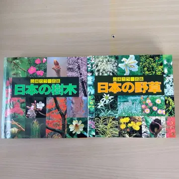 야마케이 컬러 명감 일본의 수목 일본의 야생초