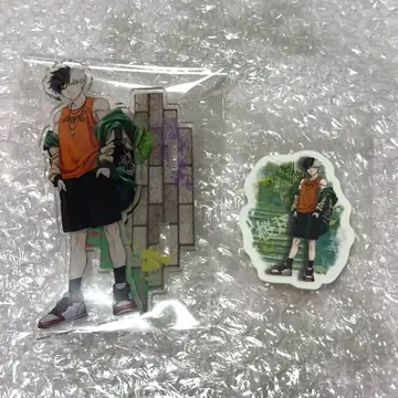 윈브레 사쿠라 하루카 묶음 판매