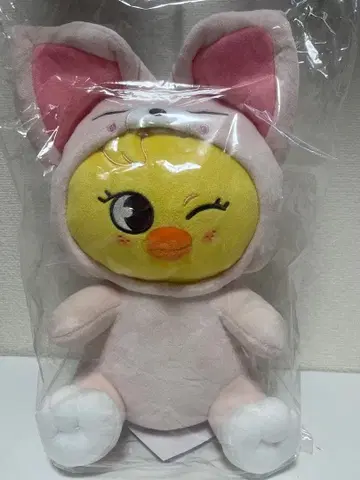 StrayKids 포옹 봉제 인형(BbokAri)