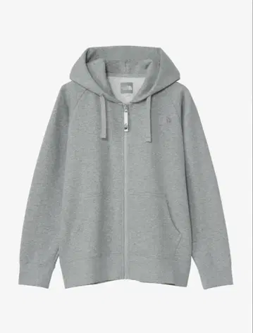 THE NORTH FACE 2025년판 그레이 후드티 L