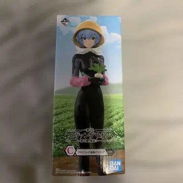 아야나미 레이(가칭) 피규어