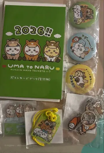 치이카와 해피백 2026