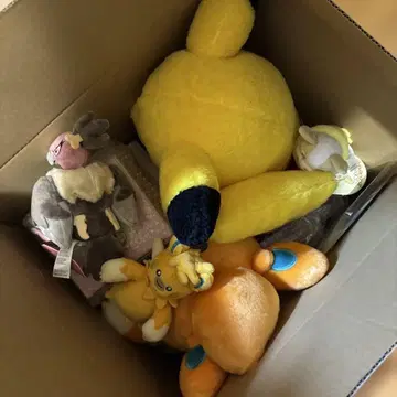 피카피카 박스 2026 발췌 포함