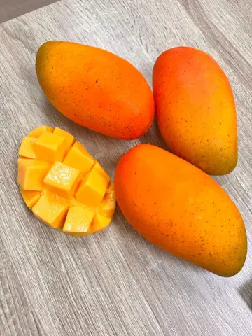 식품 샘플 망고 4개 세트