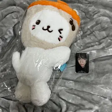 NCT WISH 봉제 인형 유시 인형 캐릭터 백