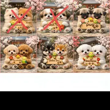 핸드메이드 오더 접수 (포메라니안, 말티즈, 시츄)