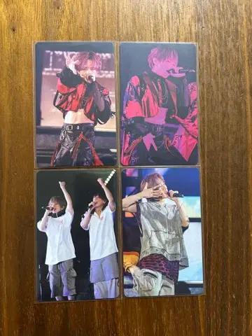 우라시마사카타센 미니 포토 카드 우라타누키 시마