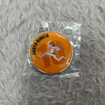 하이큐!! 히나타 쇼요 RUN 메탈 키링 컬렉션