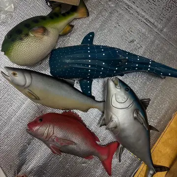 물고기 big 피규어 5종류