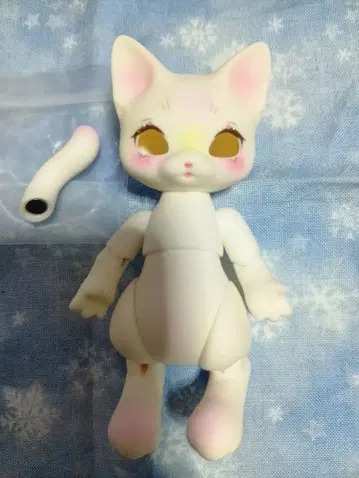 코코리앙 프리 고양이